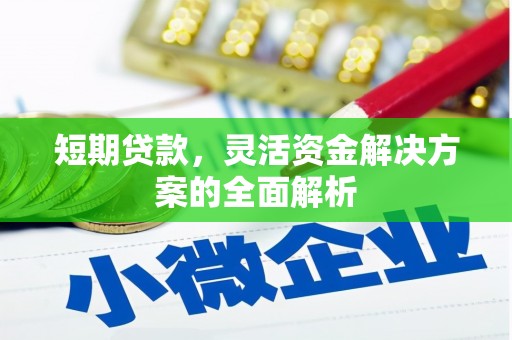 陇川短期贷款，灵活资金解决方案的全面解析