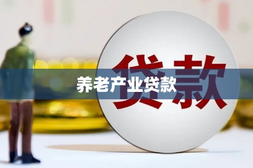 陇川养老产业贷款