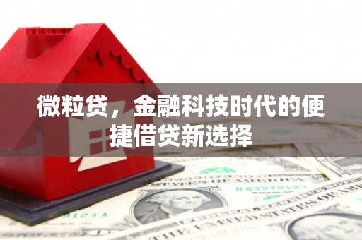 陇川微粒贷，金融科技时代的便捷借贷新选择
