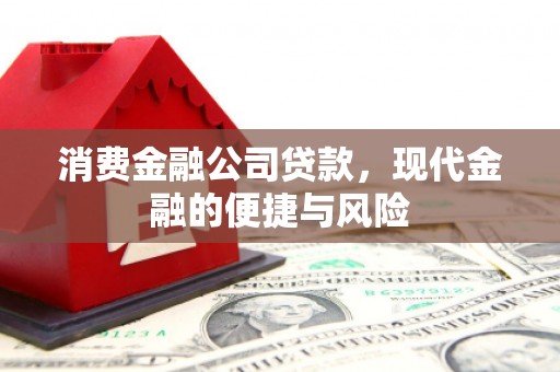 陇川消费金融公司贷款，现代金融的便捷与风险