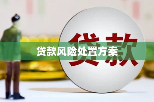 陇川贷款风险处置方案