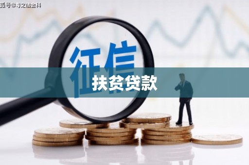 陇川扶贫贷款
