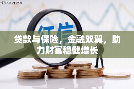 陇川贷款与保险，金融双翼，助力财富稳健增长